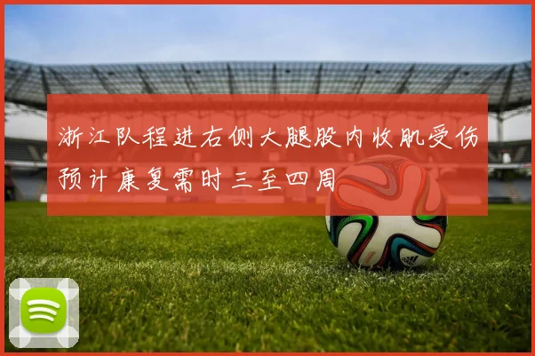 浙江队程进右侧大腿股内收肌受伤预计康复需时三至四周