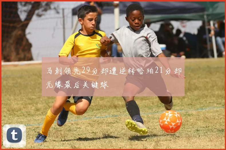 马刺领先29分却遭逆转哈珀21分却无缘最后关键球